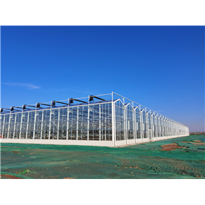 國家級現(xiàn)代農(nóng)業(yè)產(chǎn)業(yè)園-齊河現(xiàn)代溫室